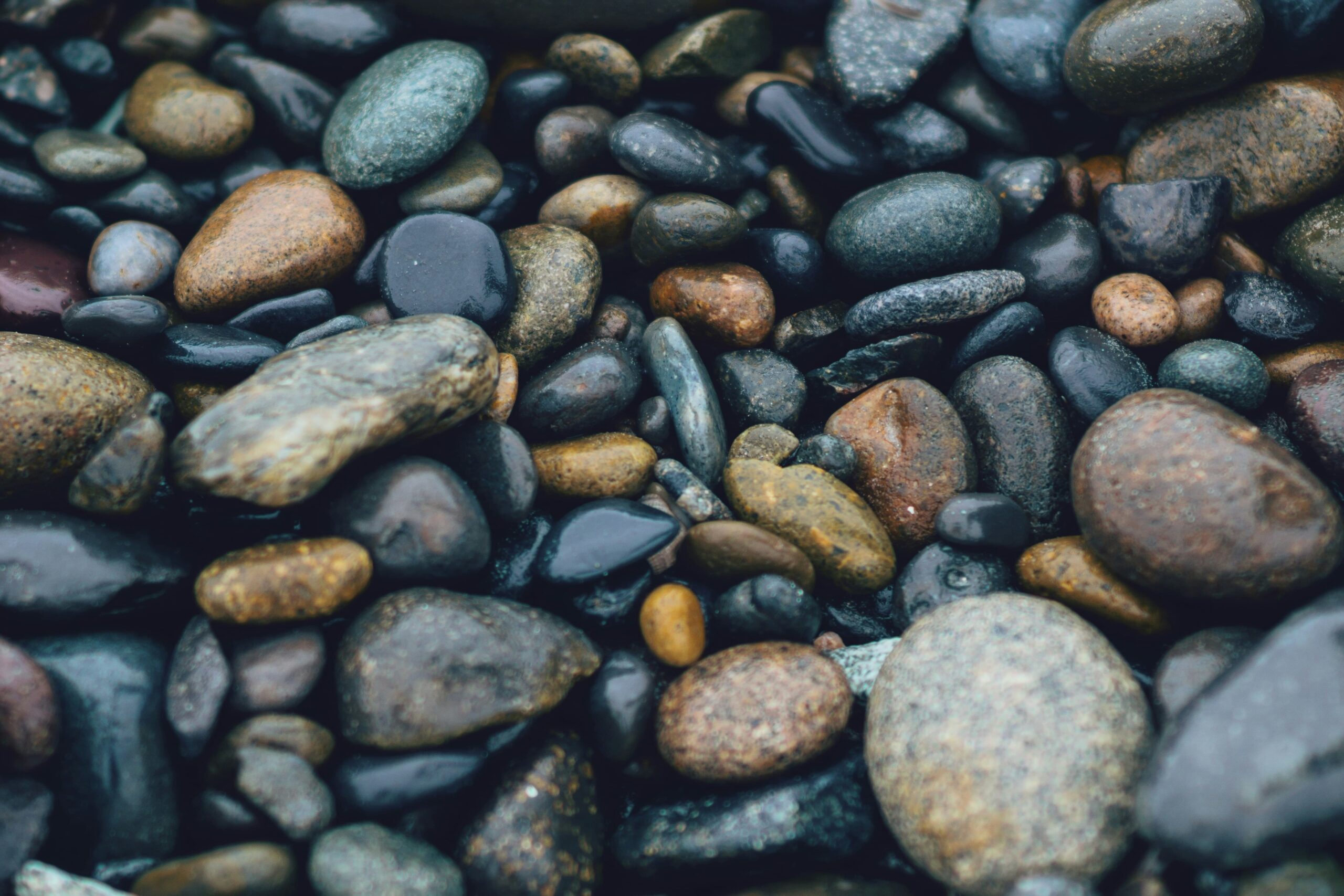 A cluster of dark, wet pebbles